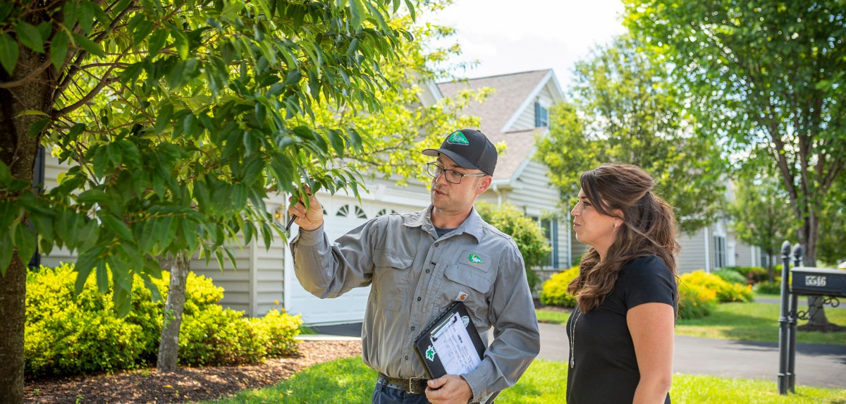 tree care technician meets with customer