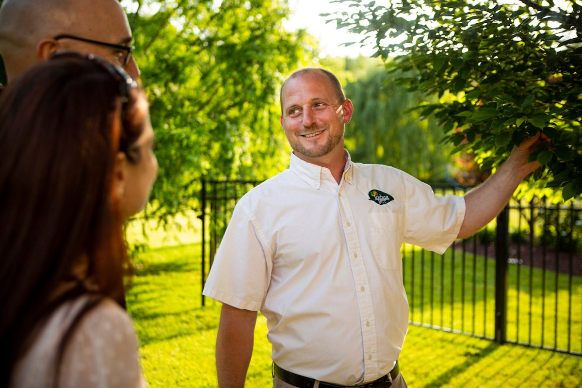 tree care expert meets with customers and inspects tree